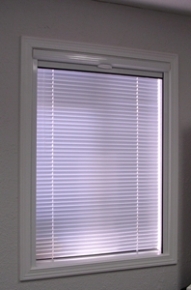 Blacout shade with mini blind