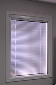 Blackout Shade with Mini Blind