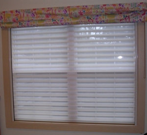 Blackout Shade with  pleated shade