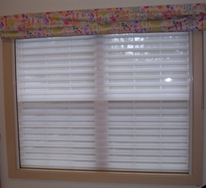 Blackout Shade with pleated shade