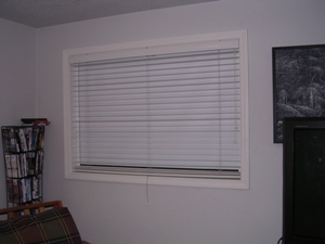 Blackout Shade with  wood blinds
