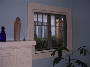 Retractable Window Screen